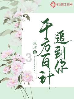 数字合算