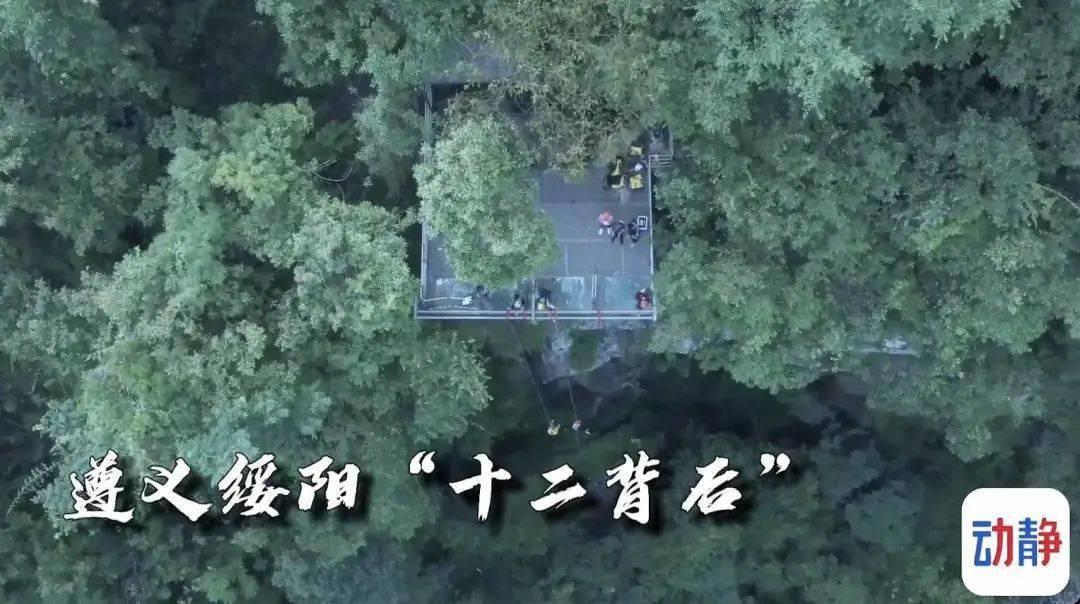动物帮帮忙保卫家园
