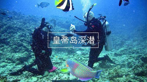 陕西出台37条措施推动数字经济高质量发展
