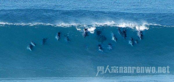 埃及神庙找不同
