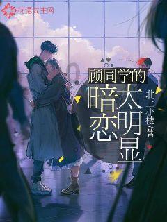 小猫钓鱼正版下载中文版
