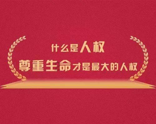 妙鸭相机app下载官网