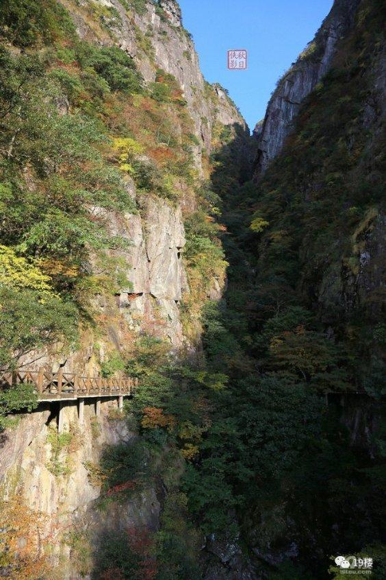 高管遭侮辱诽谤,格力报警后续来了!